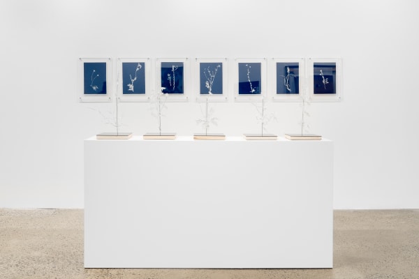 Duranmashaaloctobre2023 4 Of 29