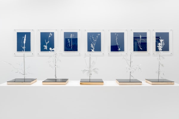 Duranmashaaloctobre2023 5 Of 29