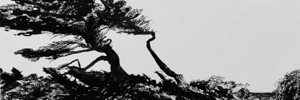 Jo Reitze, Resilience, 2020