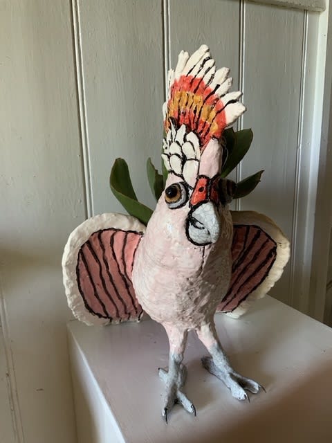 Kaye Clancy, Marmaduke Major Mitchell Cockatoo