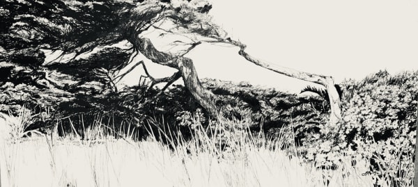 Jo Reitze, Resilience, 2020