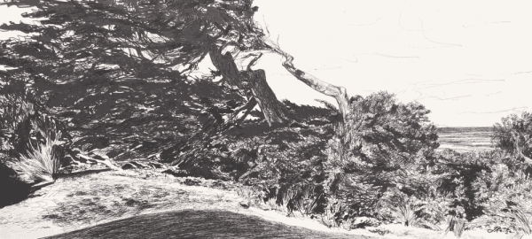 Jo Reitze, Resilience Trees, 2020