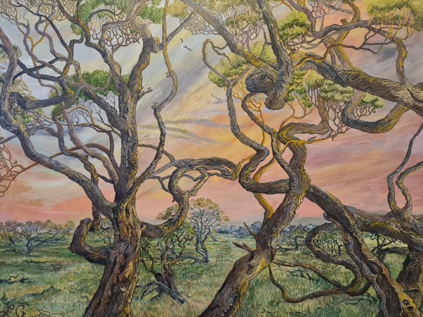 Linda Gallus, Moonah Woodland, 2023