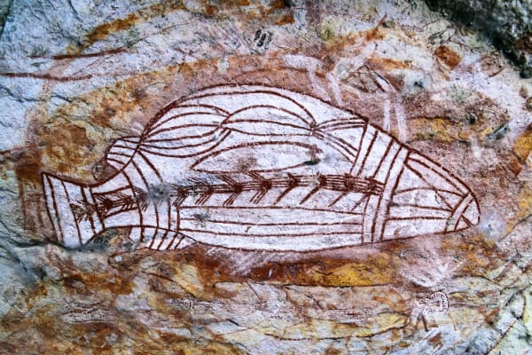 Steve Funnell, X Ray Barramundi