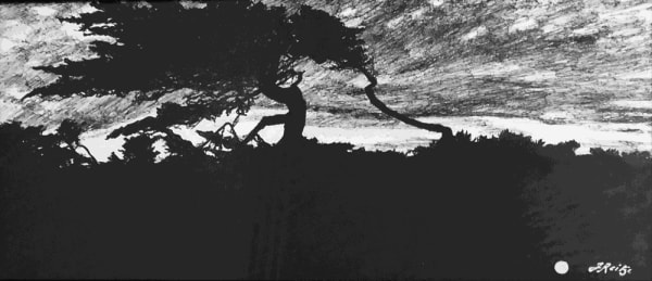 Jo Reitze, Dawn, 2021