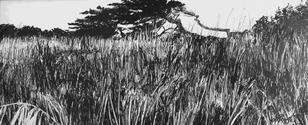 Jo Reitze, Windswept Trees, 2021