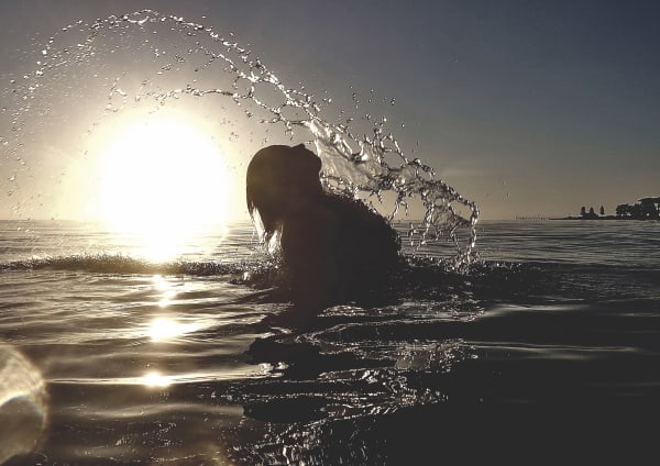 Anne Spudvilas, Spirit Of The Sea