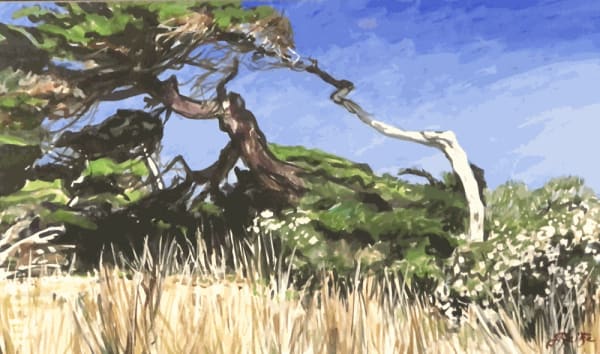 Jo Reitze, Blue Skies, 2021
