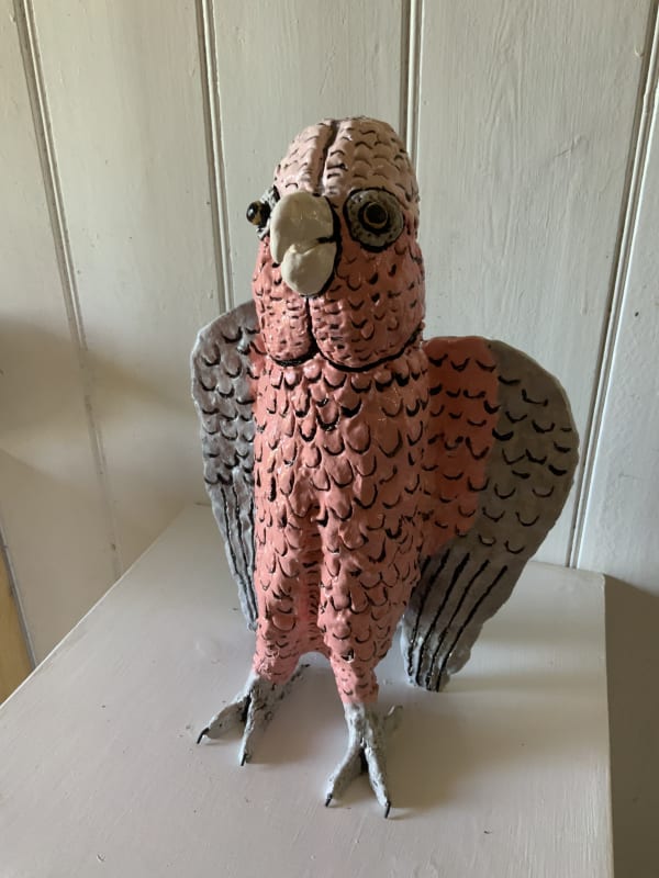 Kaye Clancy, Gandulf Pink Galah