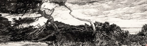 Jo Reitze, Resilience Trees, 2021