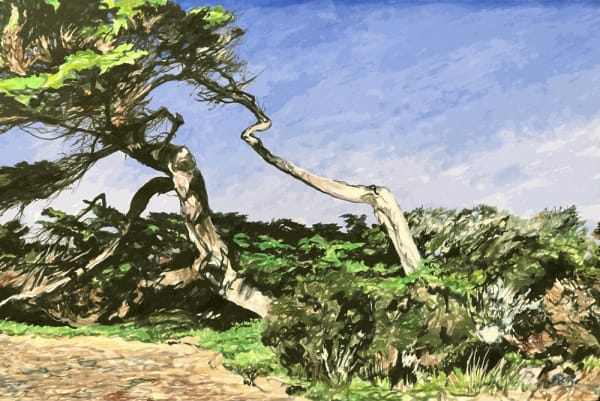 Jo Reitze, Resilience, 2020