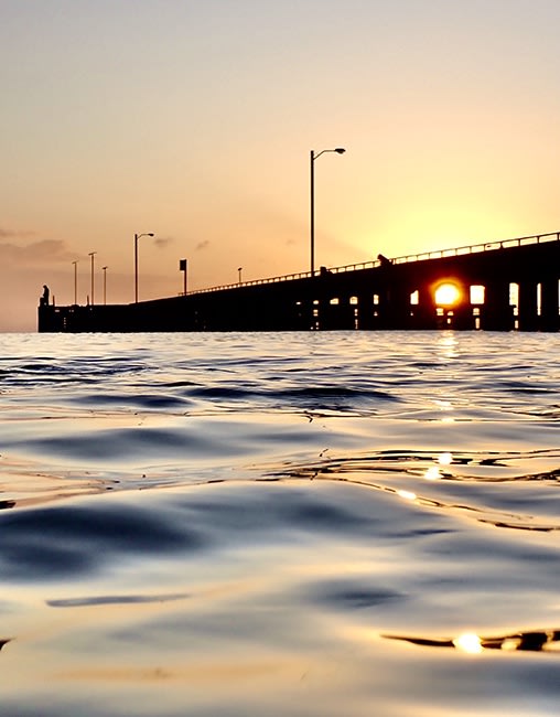 Anne Spudvilas, St Leonards Pier