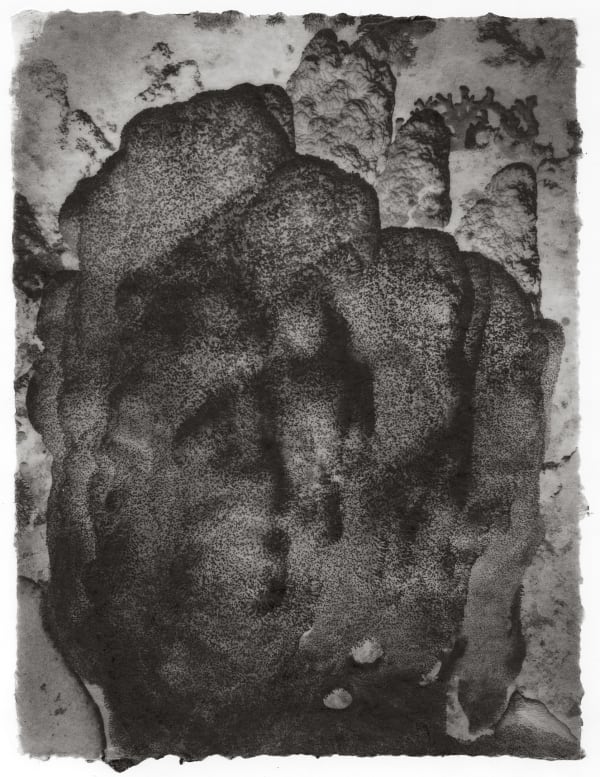 Underwater - Hard Coral No. 11