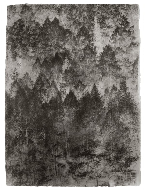 Larix Grandmaster VII