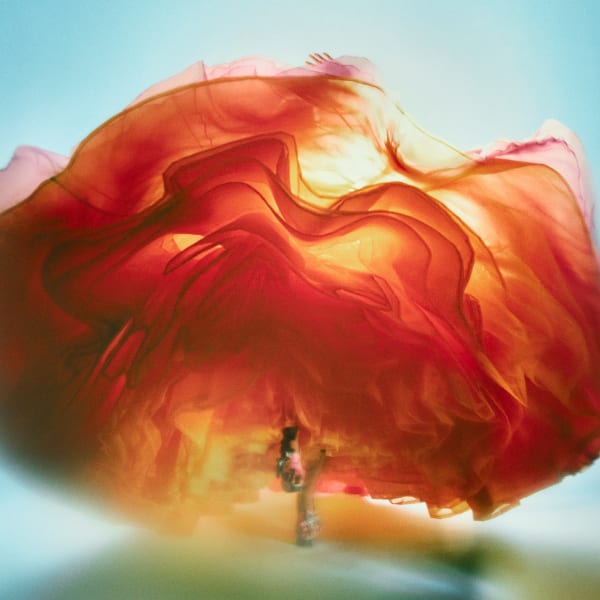 Big Orange, 2005 85 x 85 cm