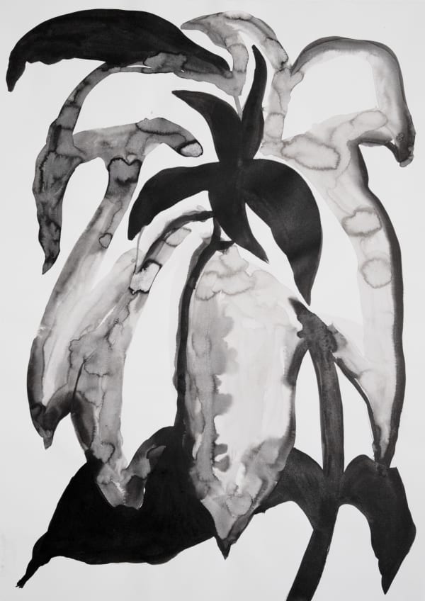 Shadow 6, 2023 59.4 x 84.1 cm