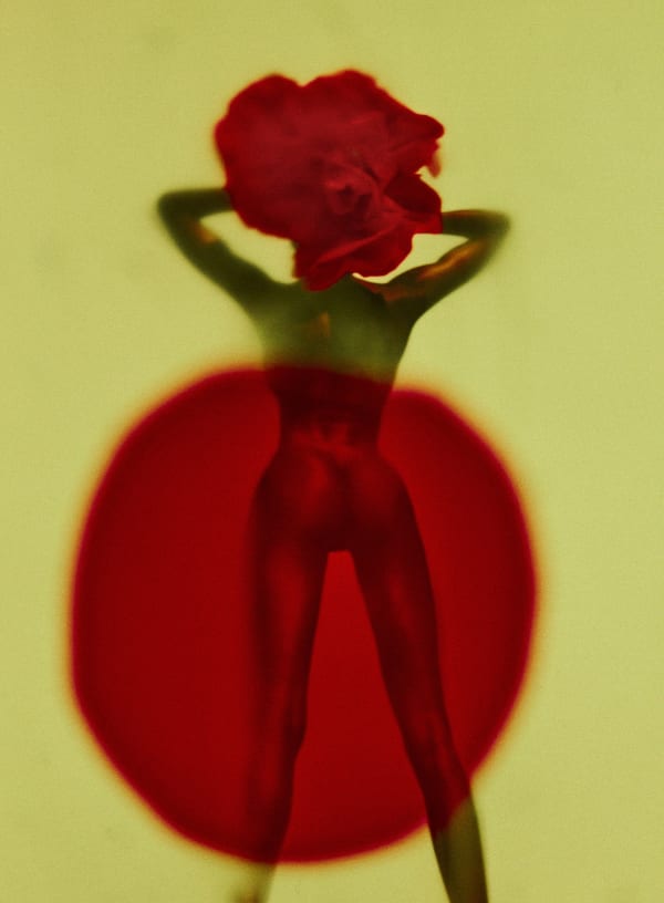 Flowerhead X, 2022 136 x 100 cm