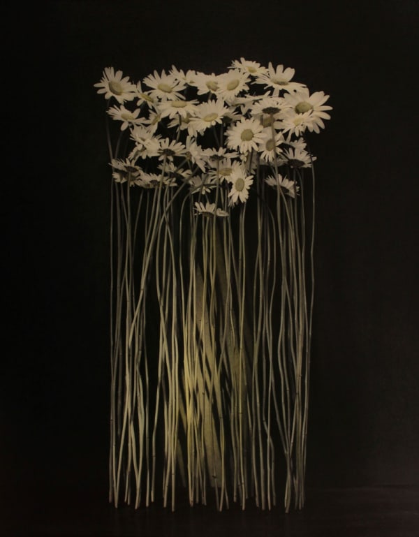 Ingar Krauss, Margeriten
