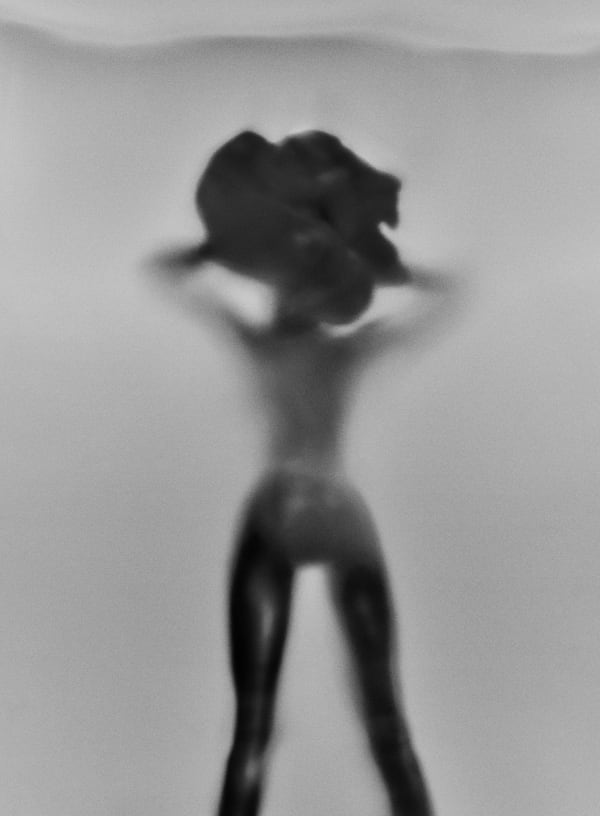 Flowerhead VIII, 2022 34 x 25 cm