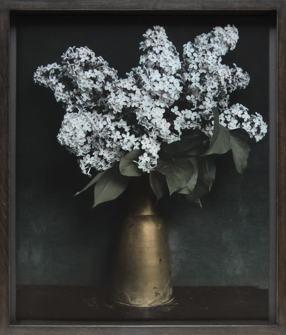 Ingar Krauss, Flieder, 2014