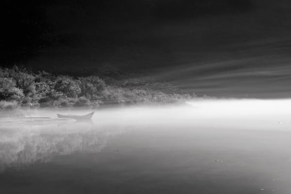 The Edge of Wildness