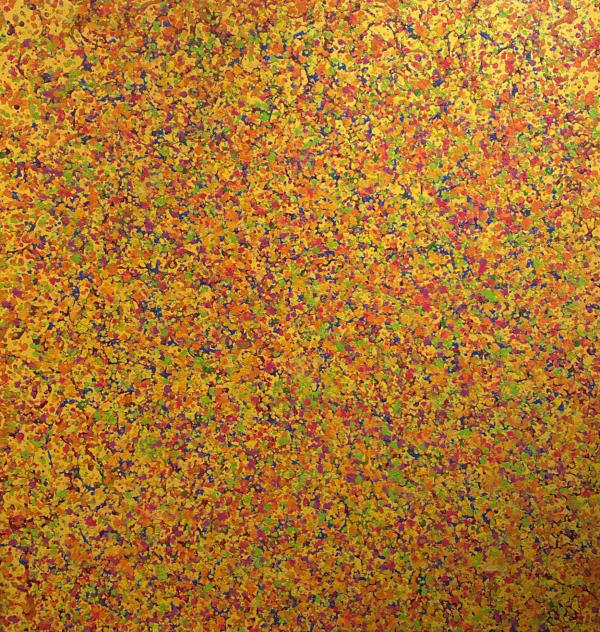 Colors Gone Wild