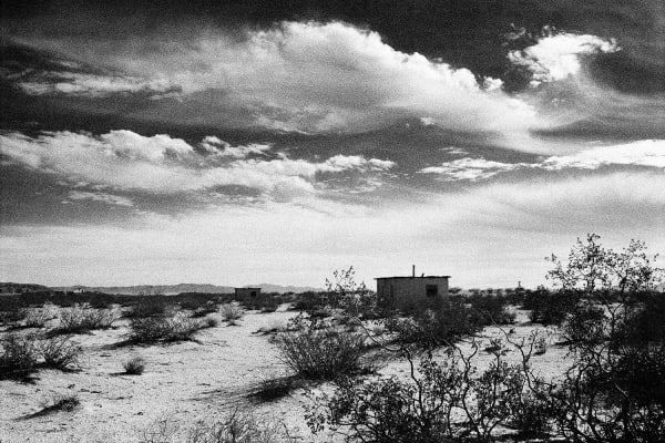 Freed From Rage and Sorrow Reflections of Emptiness in the American Dream