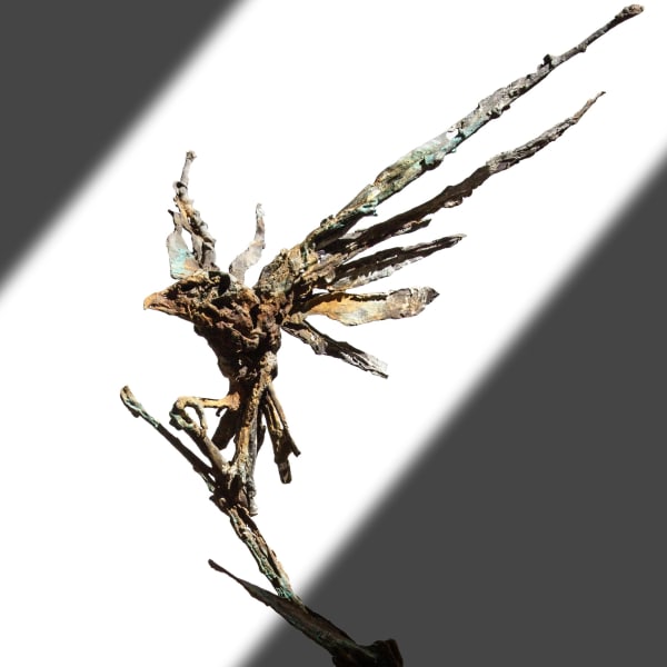 Emma Rodgers - Edge of Nature Carden Park, Cheshire