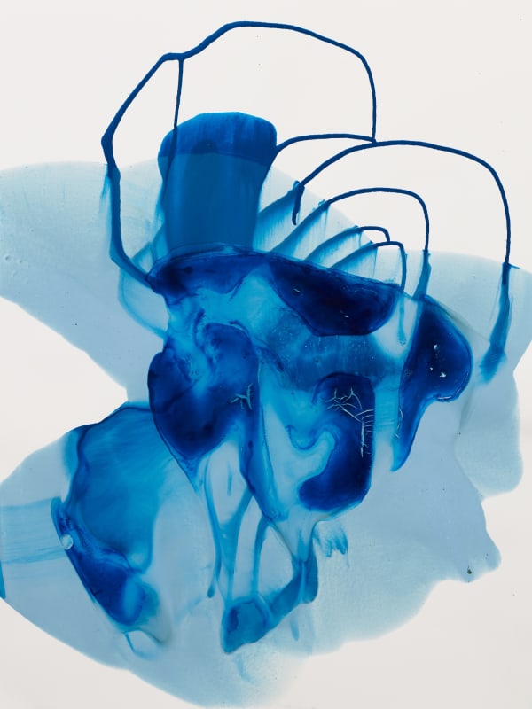 elsewhere, a solo by Romeo Hoornaert