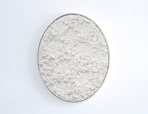 White Narcissus Panel Website Image