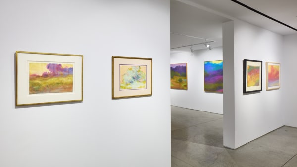 Richard Mayhew: A Life in Art