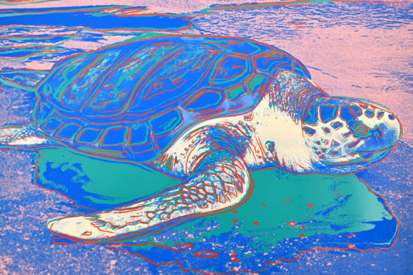 #WarholWednesday - Turtle