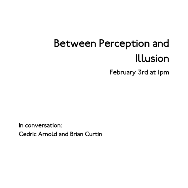 Between Perception and Illusion
