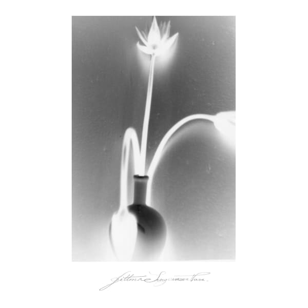 The Exquisite Silence - ความเงียบที่งดงาม