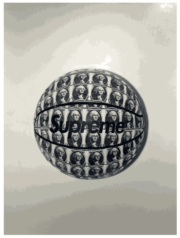 Lp 2023 5