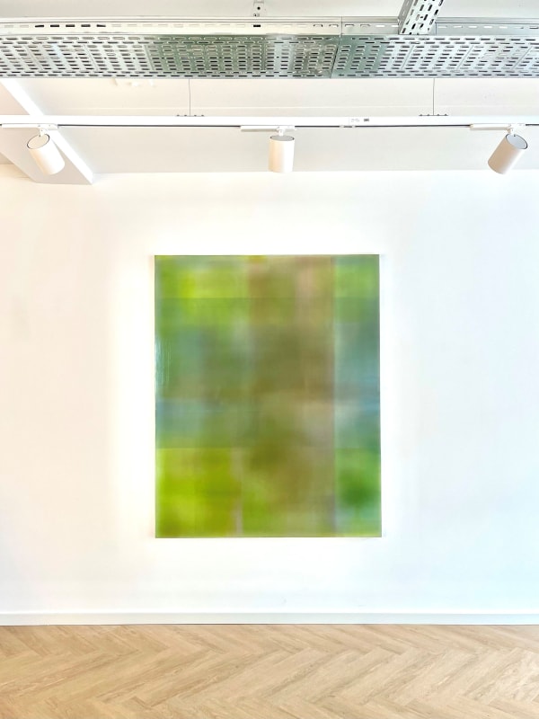 Colour Fields Prudencio Irazabal Green