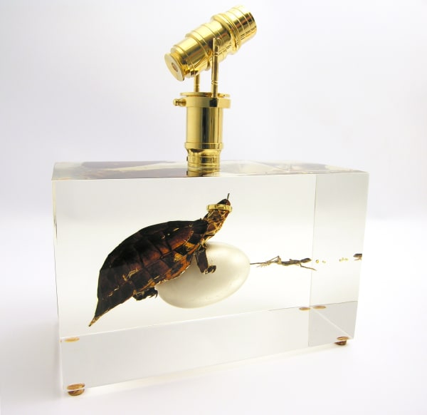 Ted Noten - Duet, 2024