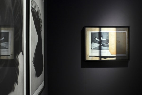 Bildhalle Pan 2025 11