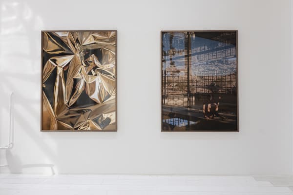 Shimmering Mona Kuhn 04