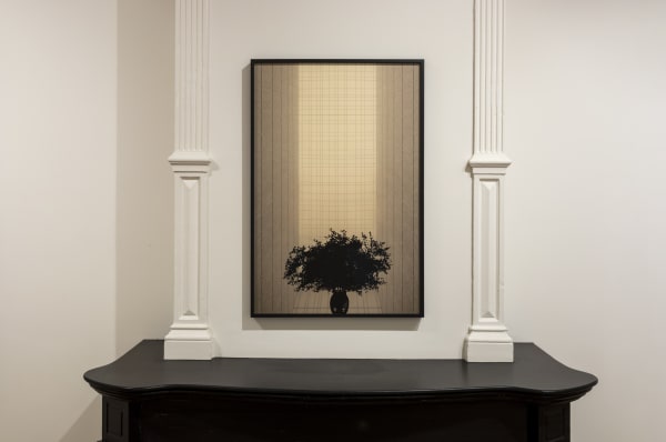 Lheure Bleue 2025 Paul Cupido L1001209 Bildhalle Ams