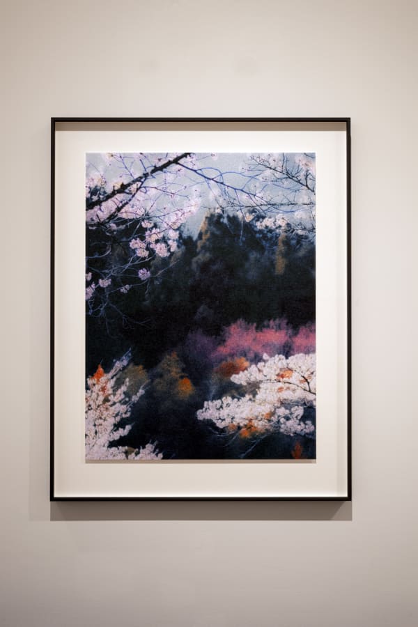 Lheure Bleue 2025 Paul Cupido L1070913 Bildhalle Ams