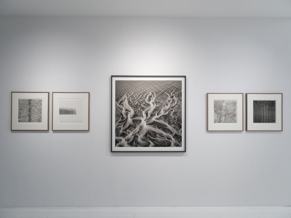 Jeffrey Conley Resonance 010