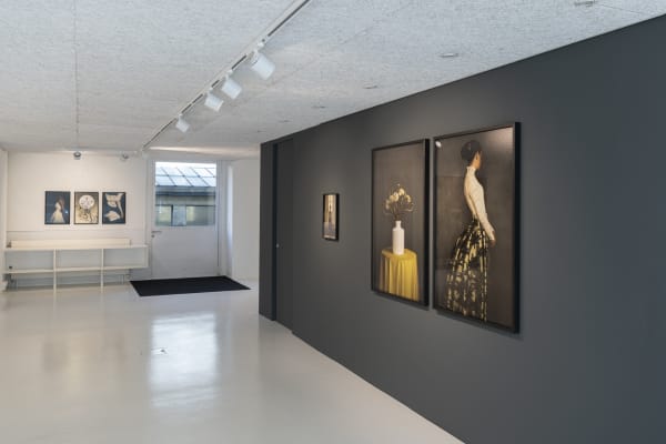 Showroom Terra Incognita 2024 29