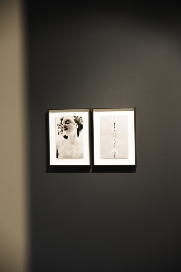 Harpersbazaar Bildhalle 28