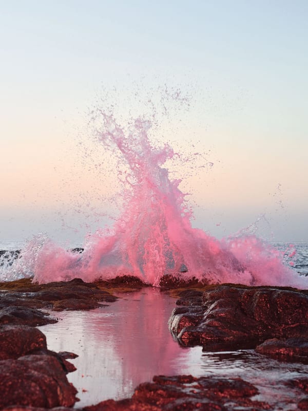 SEASON OPENING: NATURE, PERCEPTION AND MATERIALITY IN CONTEMPORARY LENS-BASED ART