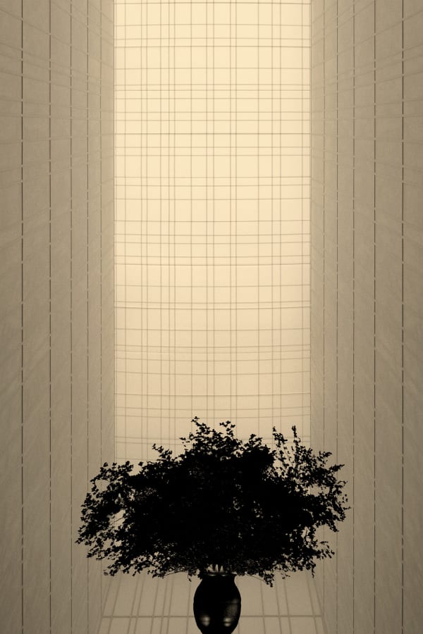 AIPAD - THE PHOTOGRAPHY SHOW 2026, NEW YORK