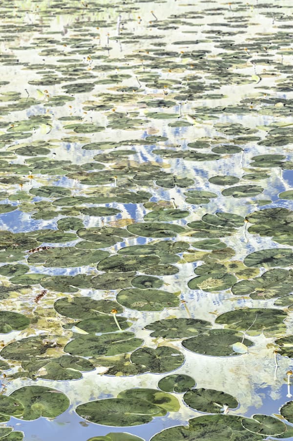 PAN AMSTERDAM 2025, Amsterdam RAI