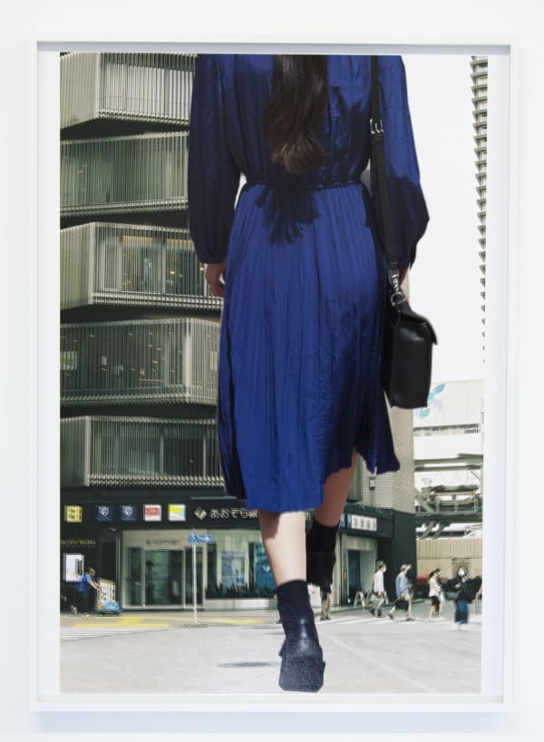 9 Apublik Tonimeyer Blue Crop