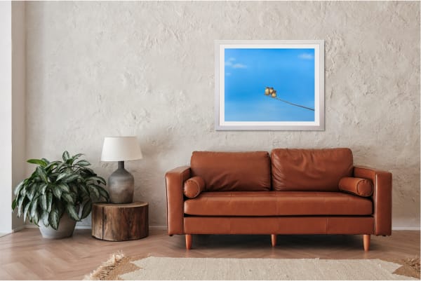 Lilia Mazurkevich: New Limited Editions