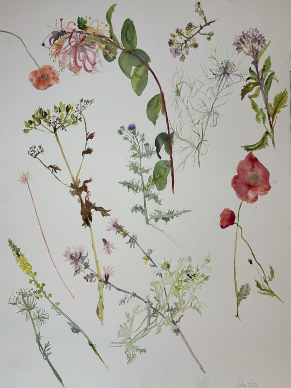 July , Watercolours on paper 57cm x 77cm